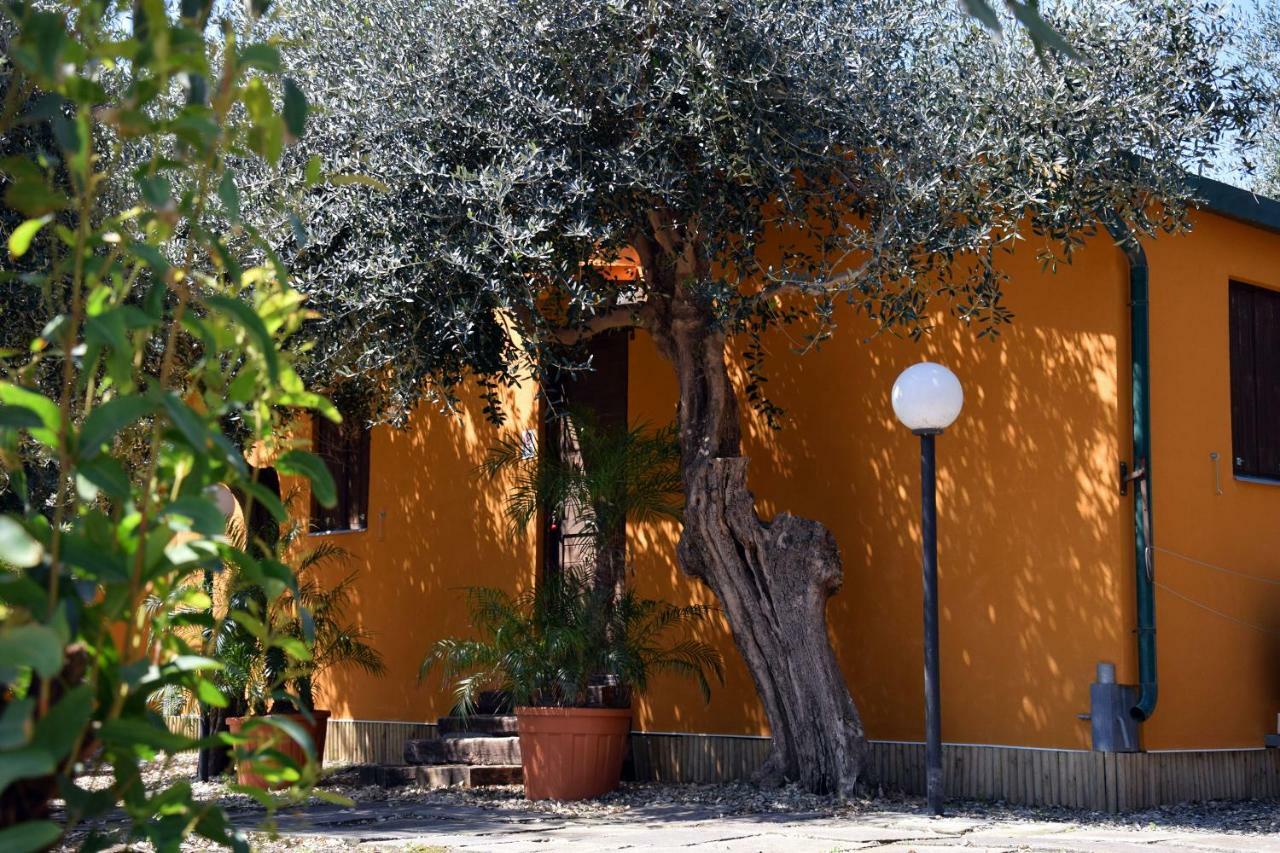Riviera Degli Eucalipti - Cottage In Riva Al Mare Acireale Extérieur photo